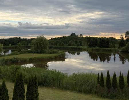 bilde Nr.2